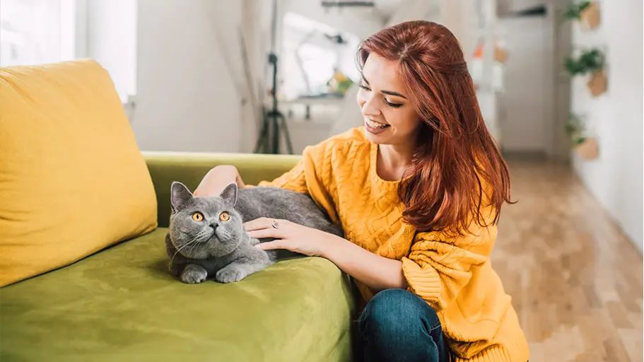 Woman sitting inside petting a gray cat laying on the couch