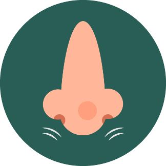 Nose sniffing