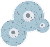 Illustration of aspergillus spores