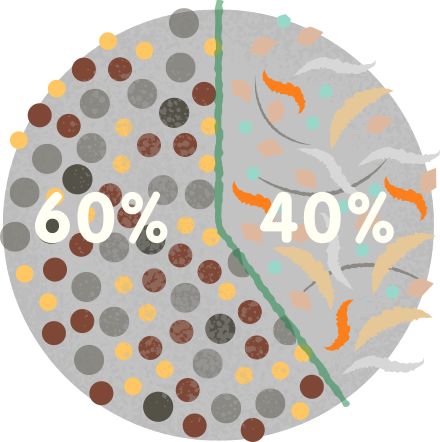 Dust: 40% comes from indoors, 60% comes from outdoors