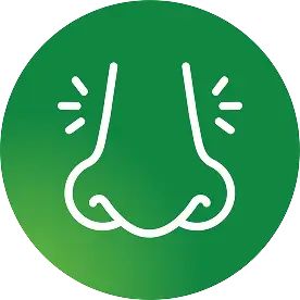 Zyrtec Allergy relief + nasal decongestant Icon