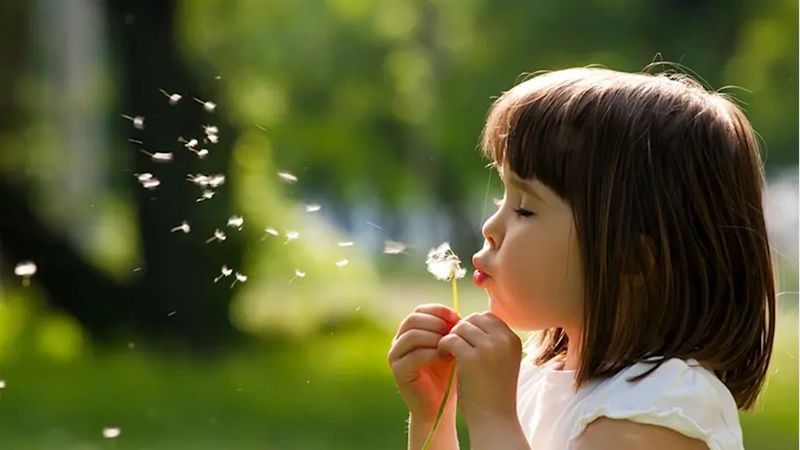 A young girl outside surrounded by trees blowing on a dandelion dispersing the seeds into the wind