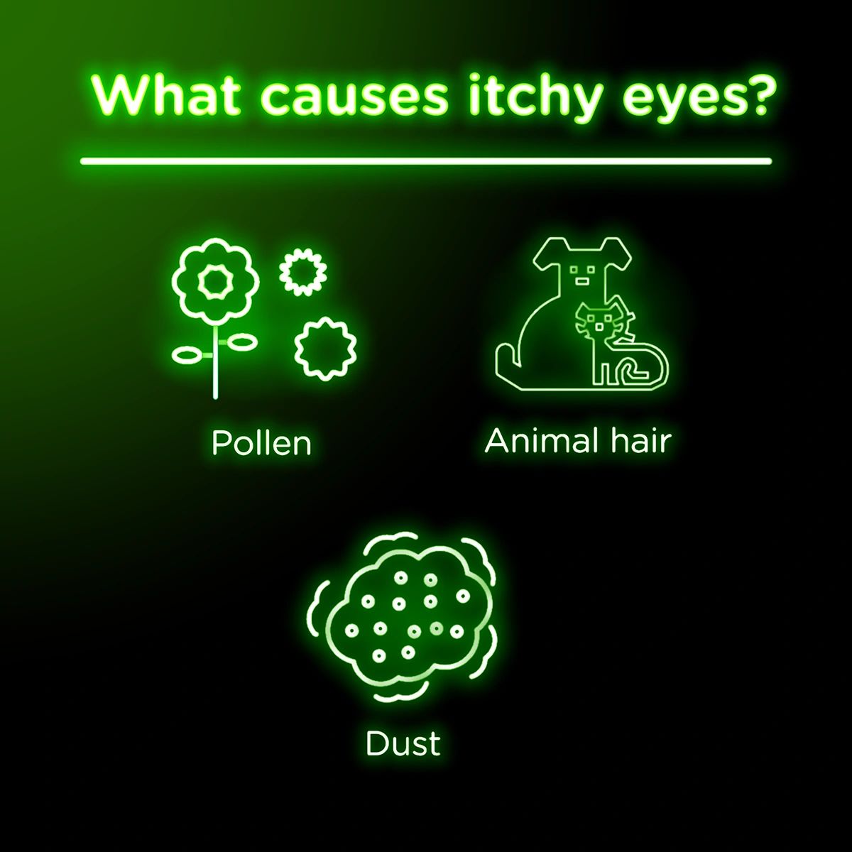 Itchy eyes may be caused by pollen, animal hair, and dust