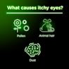 Itchy eyes may be caused by pollen, animal hair, and dust