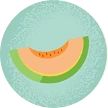 Melon fruit
