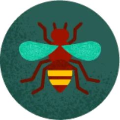 Bugs
