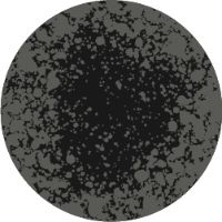 Illustration of a black mold spore