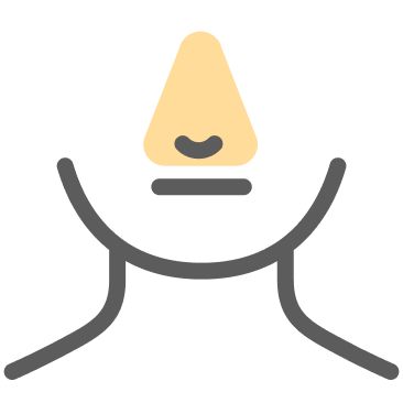 Sinus congestion icon