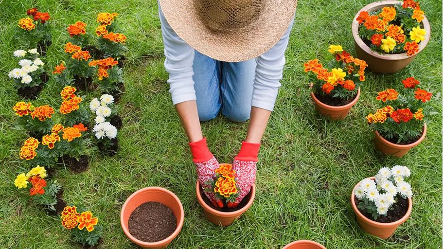 A person outside gardening