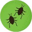 Illustration of insects on a green background