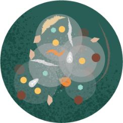 Dust circle