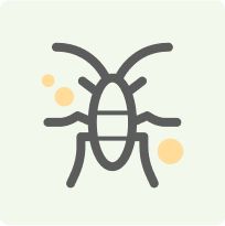 Cockroaches