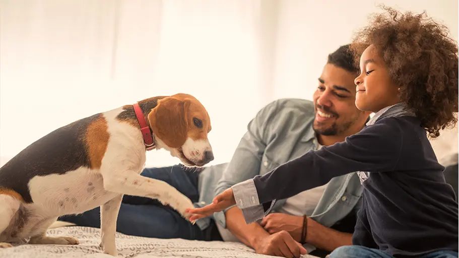 A young girl and a man are sitting together petting a friendly dog.