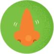 Illustration of a nose on a green background