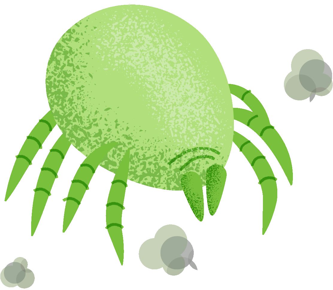 Dust mites