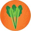 Illustration of celery