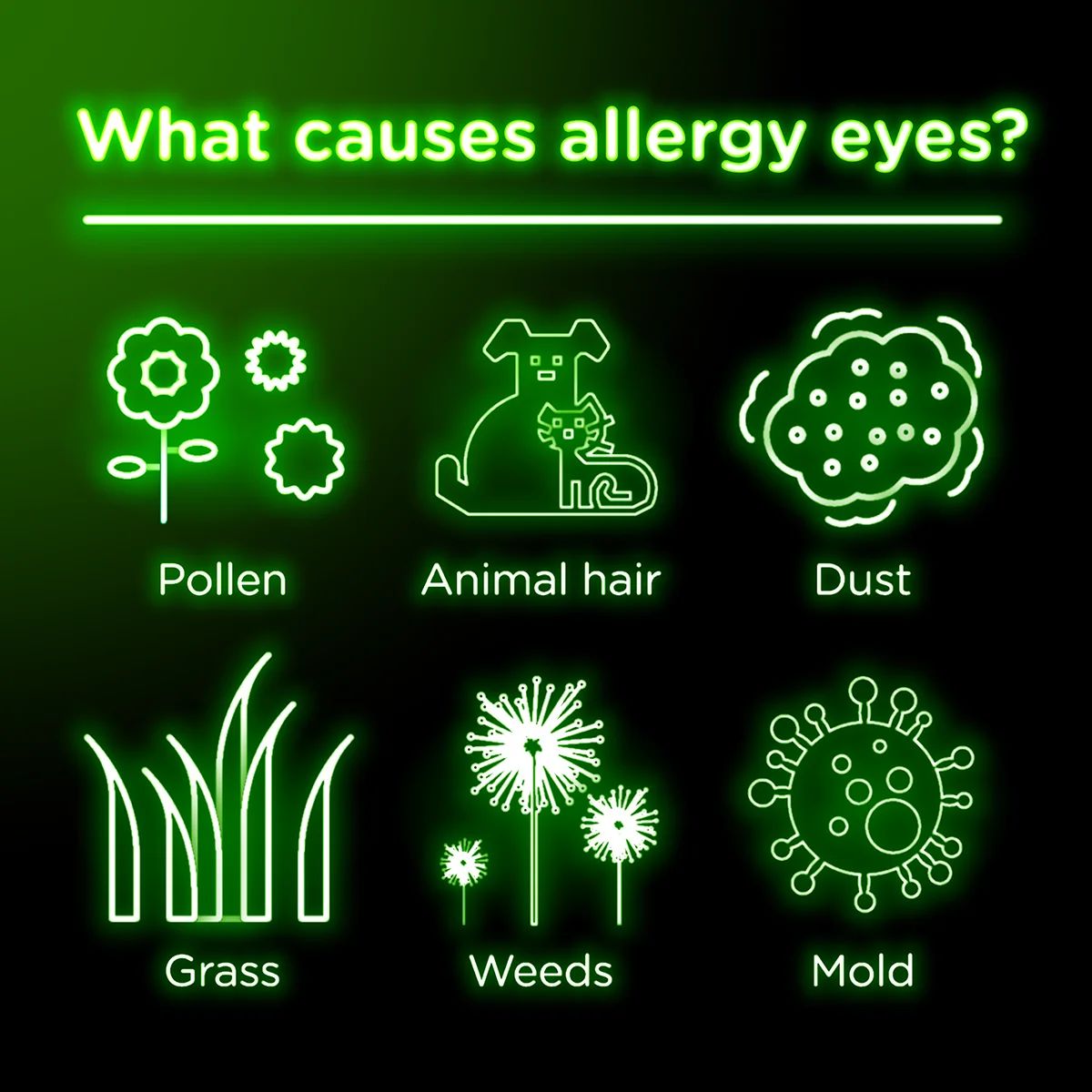 Pollen, animal hair, dust, grass, weeds, and mold can cause allergy eyes