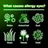 Pollen, animal hair, dust, grass, weeds, and mold can cause allergy eyes