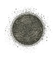 Illustration of a Cladosporium mold spore