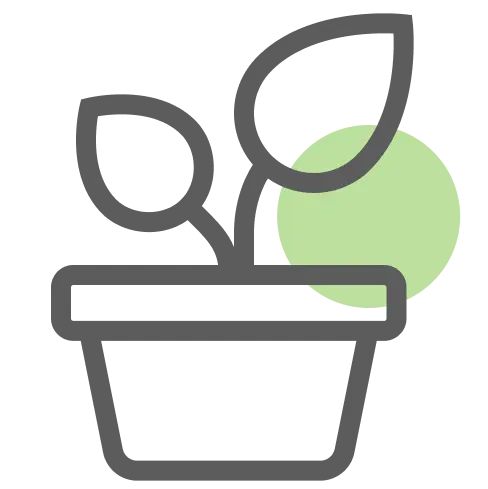 Indoor plants