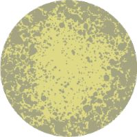 Yellow mold