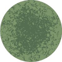 Illustration of a green mold particle