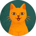Orange cat with pet dander