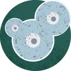Mold