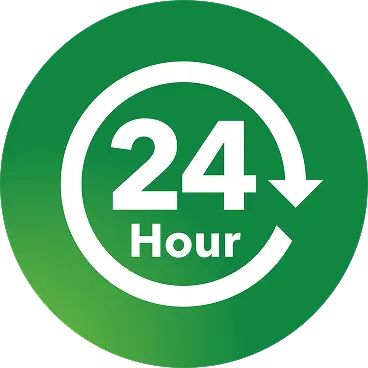 Zyrtec 24-hour hives relief icon