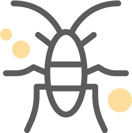 Insects