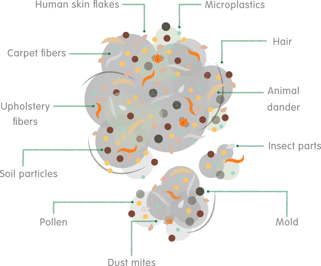 Dust Infographic