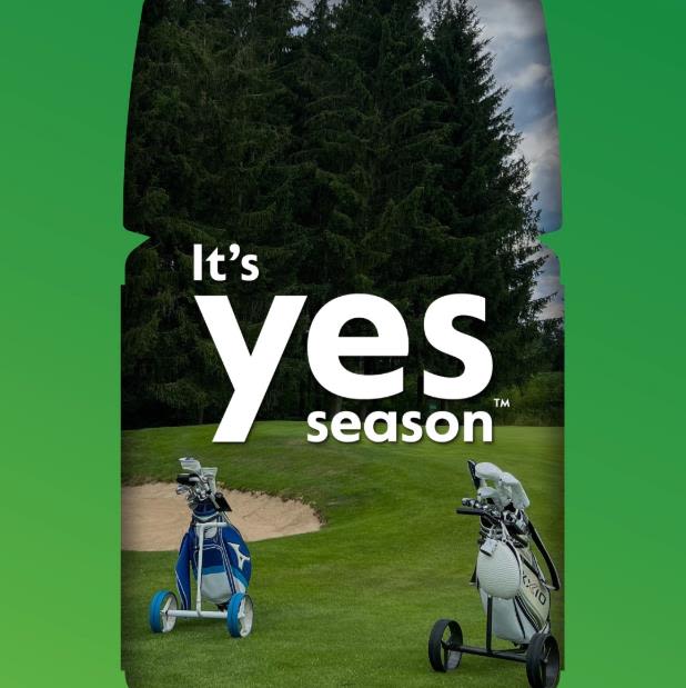 Its yes season