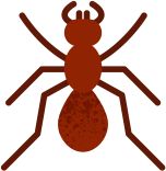 Fire ant