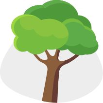 Tree pollen