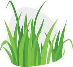 Illustration of grass