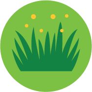 Grass releasing pollen