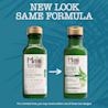 Thicken & Restore + Bamboo Fiber Shampoo 