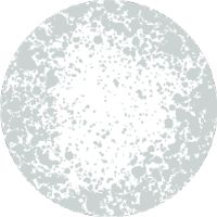 White mold