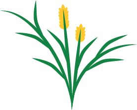 Rye grass with pollen