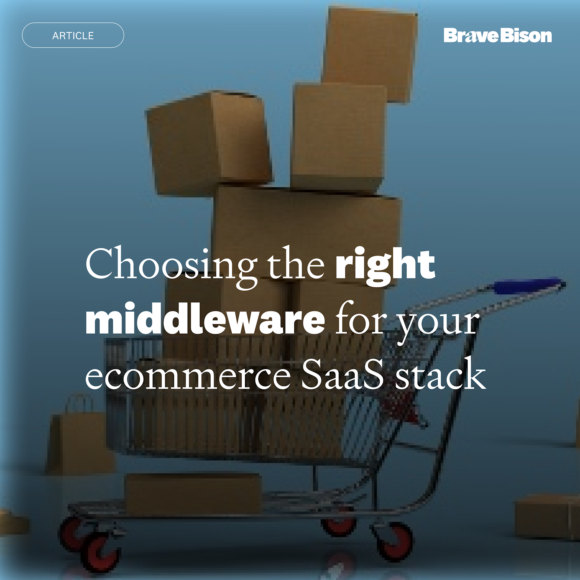 Bison Stack Technology & Experience Agency | Brave Bison
