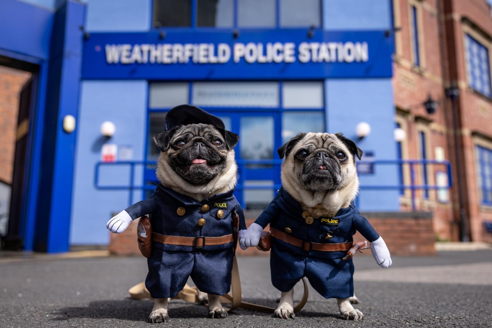 Walkies in Weatherfield - Coronation Street - ITV