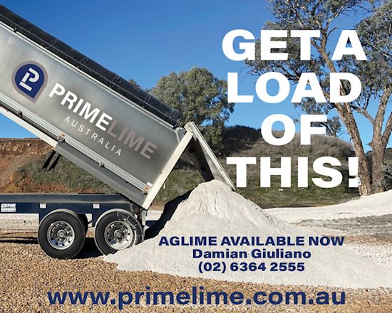 Prime Lime – Target