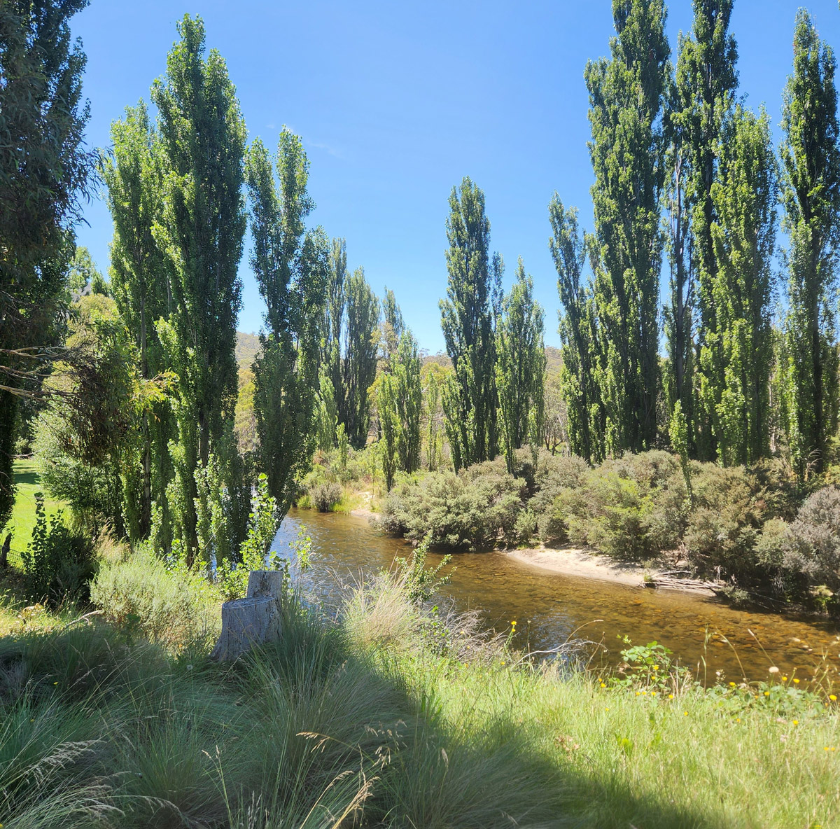 River-Sledding