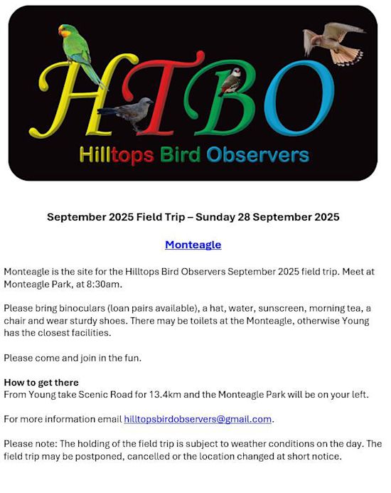 Hilltops Bird Observers