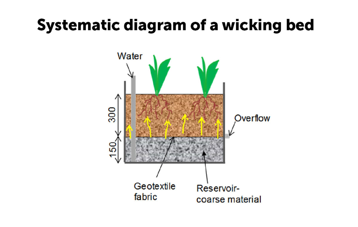 Review of capillary irrigation