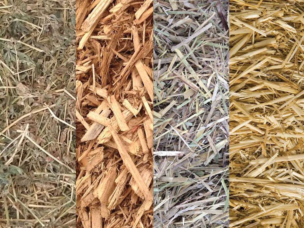 Lets Talk Mulch The Hilltops Phoenix Hilltops Region News and