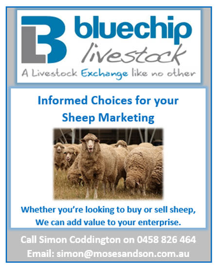 Bluechip Livestock - Target