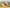 Koorawatha Show 2018