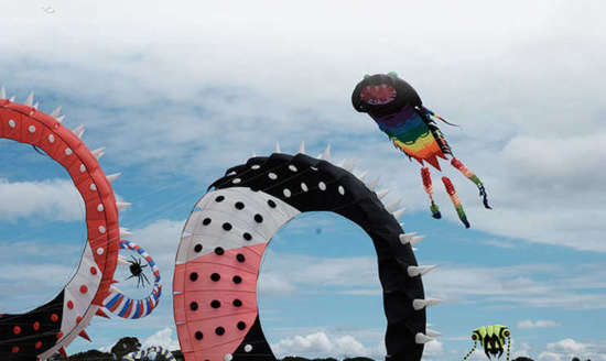 Boorowa Beanie & Beret Competition