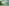 AdobeStock 453199840